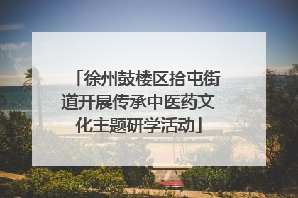 徐州鼓楼区拾屯街道开展传承中医药文化主题研学活动