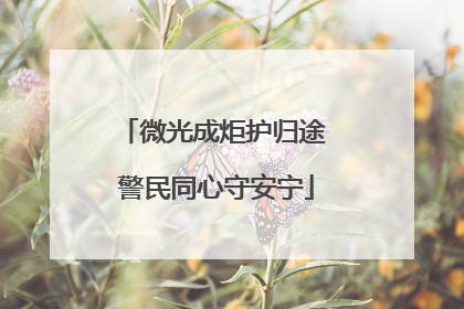 微光成炬护归途 警民同心守安宁