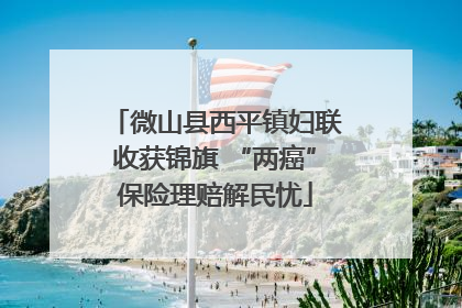 微山县西平镇妇联收获锦旗 “两癌”保险理赔解民忧