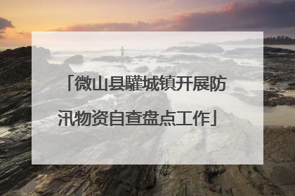 微山县驩城镇开展防汛物资自查盘点工作