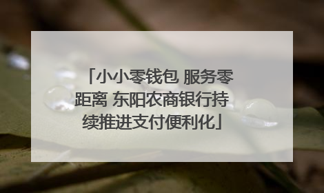 小小零钱包 服务零距离 东阳农商银行持续推进支付便利化