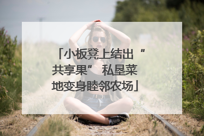 小板凳上结出“共享果” 私垦菜地变身睦邻农场
