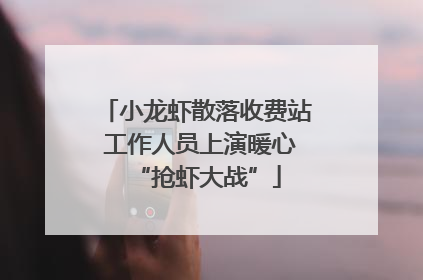 小龙虾散落收费站 工作人员上演暖心“抢虾大战”