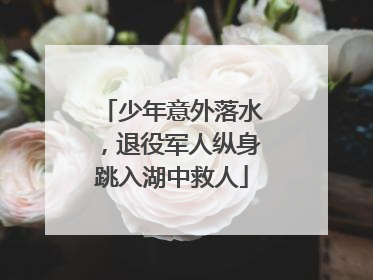 少年意外落水，退役军人纵身跳入湖中救人