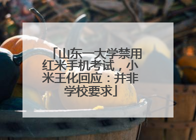 山东一大学禁用红米手机考试，小米王化回应：并非学校要求