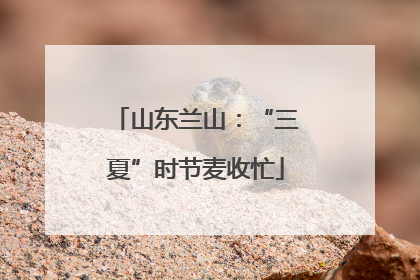 山东兰山：“三夏”时节麦收忙