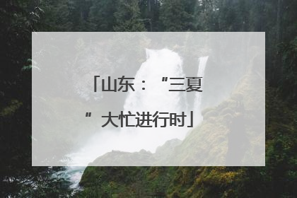 山东：“三夏”大忙进行时