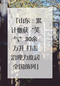山东：累计缴获“笑气”30余万升 打击治理力度居全国前列