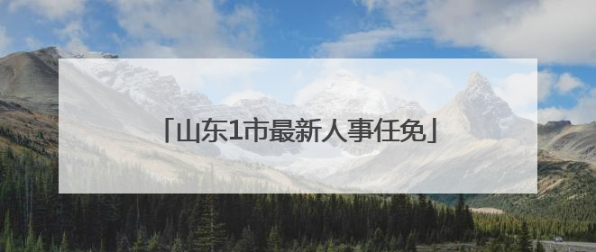 山东1市最新人事任免
