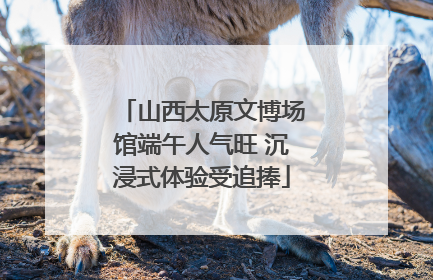 山西太原文博场馆端午人气旺 沉浸式体验受追捧