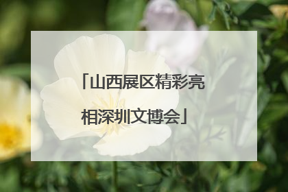 山西展区精彩亮相深圳文博会
