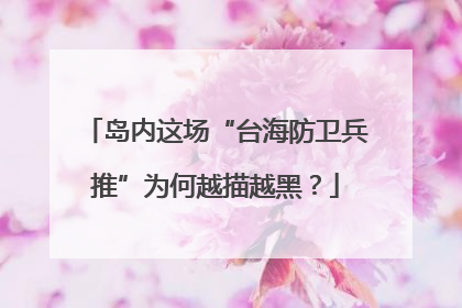 岛内这场“台海防卫兵推”为何越描越黑？