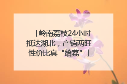 岭南荔枝24小时抵达湖北，产销两旺性价比真“给荔”
