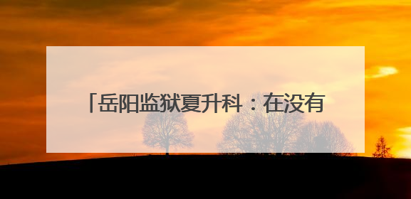 岳阳监狱夏升科：在没有硝烟的战场上，每一步都有“1＋1＝2”的笃定
