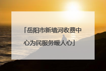 岳阳市新墙河收费中心为民服务暖人心