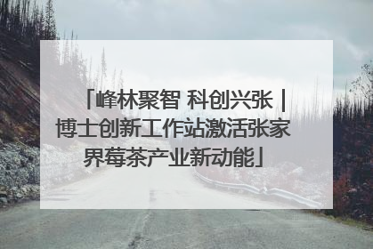 峰林聚智 科创兴张｜博士创新工作站激活张家界莓茶产业新动能