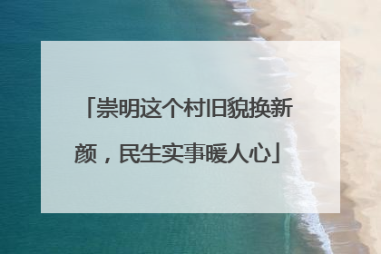 崇明这个村旧貌换新颜，民生实事暖人心