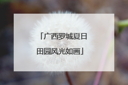广西罗城夏日田园风光如画