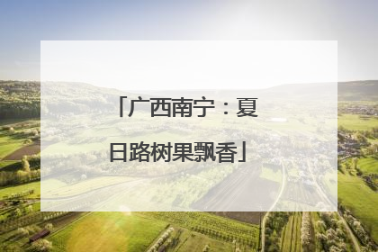 广西南宁：夏日路树果飘香