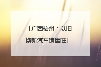 广西梧州：以旧换新汽车销售旺
