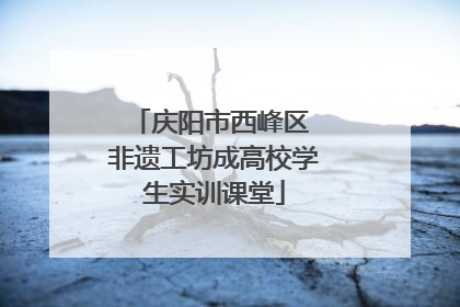 庆阳市西峰区 非遗工坊成高校学生实训课堂