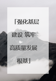 强化基层建设 筑牢高质量发展根基