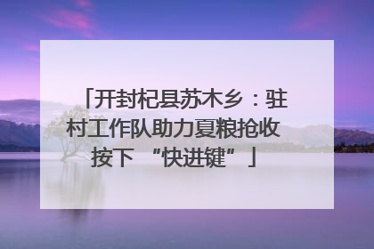 开封杞县苏木乡：驻村工作队助力夏粮抢收按下 “快进键”