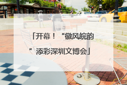 开幕！“徽风皖韵”添彩深圳文博会