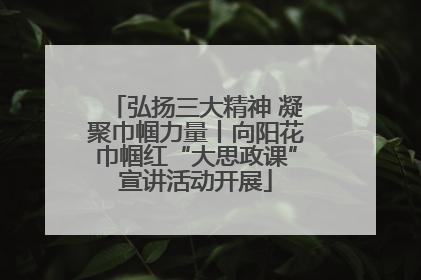 弘扬三大精神 凝聚巾帼力量丨向阳花巾帼红“大思政课”宣讲活动开展