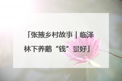 张掖乡村故事｜临泽林下养鹅“钱”景好