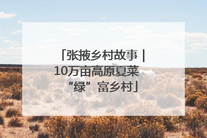 张掖乡村故事｜10万亩高原夏菜“绿”富乡村