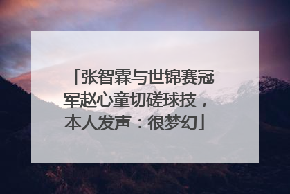 张智霖与世锦赛冠军赵心童切磋球技，本人发声：很梦幻