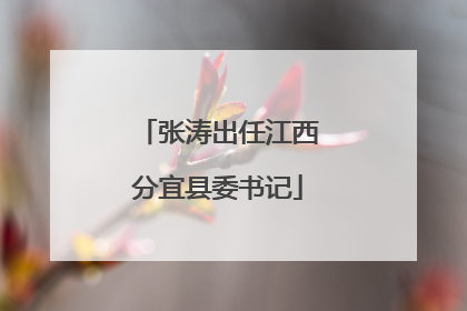 张涛出任江西分宜县委书记