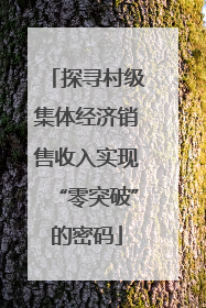探寻村级集体经济销售收入实现“零突破”的密码