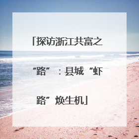 探访浙江共富之“路”：县城“虾路”焕生机