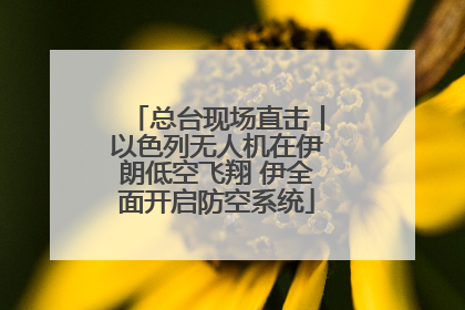 总台现场直击丨以色列无人机在伊朗低空飞翔 伊全面开启防空系统