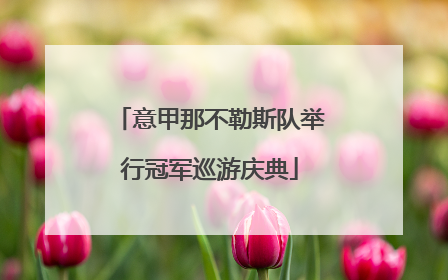 意甲那不勒斯队举行冠军巡游庆典
