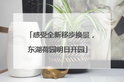 感受全新移步换景，东湖荷园明日开园
