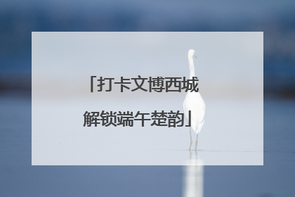 打卡文博西城 解锁端午楚韵