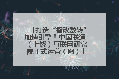 打造“智改数转”加速引擎！中国联通（上饶）互联网研究院正式运营（图）