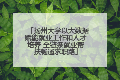 扬州大学以大数据赋能就业工作和人才培养 全链条就业帮扶畅通求职路