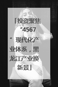 投资聚焦“4567”现代化产业体系，黑龙江产业换新景