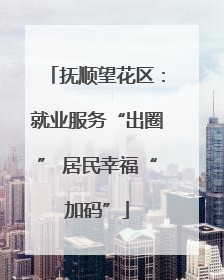 抚顺望花区：就业服务“出圈” 居民幸福“加码”