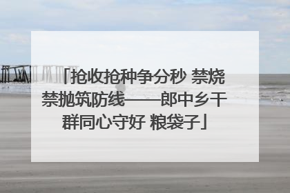 抢收抢种争分秒 禁烧禁抛筑防线——郎中乡干群同心守好 粮袋子