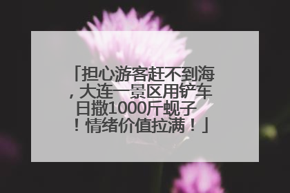 担心游客赶不到海，大连一景区用铲车日撒1000斤蚬子！情绪价值拉满！