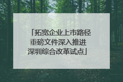 拓宽企业上市路径 重磅文件深入推进深圳综合改革试点