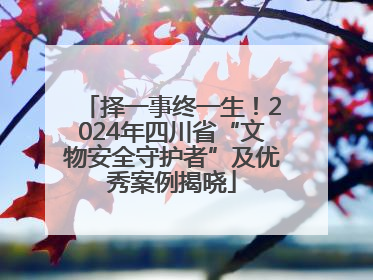 择一事终一生！2024年四川省“文物安全守护者”及优秀案例揭晓