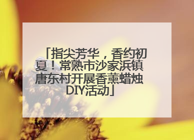 指尖芳华，香约初夏！常熟市沙家浜镇唐东村开展香薰蜡烛DIY活动