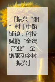 振兴“湘”村｜中路铺镇：科技赋能“金蛋产业” 全链驱动乡村振兴