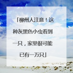 柳州人注意！这种灰黑色小虫看到一只，家里很可能已有一万只